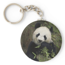 Cute Giant Panda Key Chains