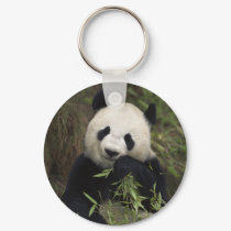 Cute Giant Panda keychains