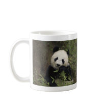 Cute Giant Panda mugs