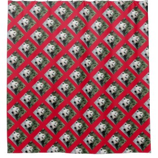 Cute Giant Panda Shower Curtain on Cherry Red