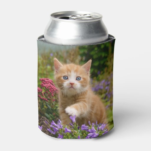 Cute Ginger Cat Kitten in a Garden, Funny Bawdle Can ...