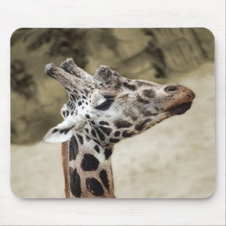 Cute Giraffe Close-up Of Head and Neck mousepad