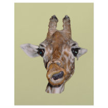 Cute Giraffe Gift letterhead