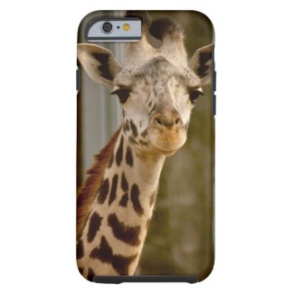 Cute Giraffe iPhone 6 case