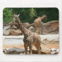 Cute Giraffe Mousepad
