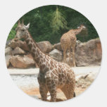 Cute Giraffe Stickers