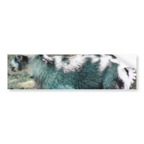 Cute Goat Kid bumper stickers