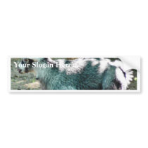 Cute Goat Kid bumper stickers