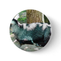Cute Goat Kid buttons by lifesphere Cute Goat Kid buttons