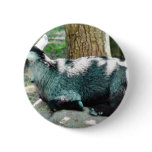 Cute Goat Kid buttons