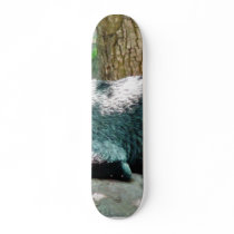 Cute Goat Kid Skate Boards