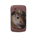 Cute Golden Furry Pet Gerbil Blackberry Bold Case