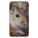 Cute Golden Furry Pet Gerbil iPod Touch Case