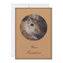 Cute Golden Pet Gerbil Custom Announcements