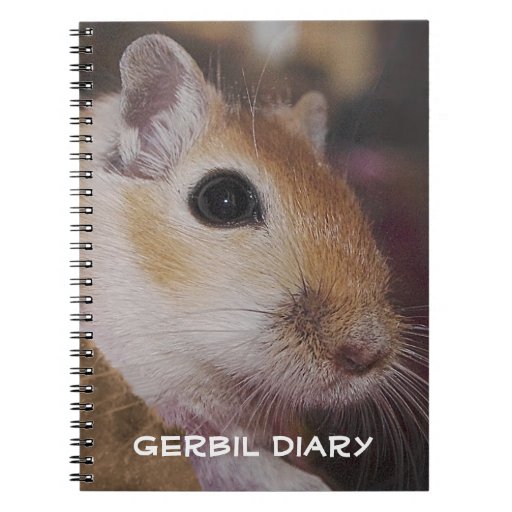 Cute Golden Pet Gerbil Notebooks