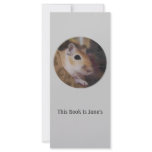 Cute Golden Pet Gerbil Full Color Rack Card