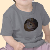 Cute Golden Pet Gerbil Tshirt