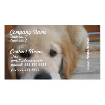 Cute Golden Pup Business Cards