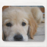 Cute Golden Pup Mouse Pad