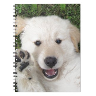 Cute Golden Retriever pup Note Book