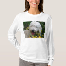 Cute Goldendoodle Hoodie, "I love My Doodle!" t-shirts