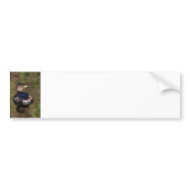 Cute Grebe Bumper Stickers