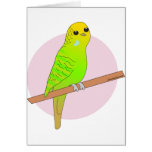 Cute Green Budgie cards