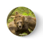 Cute Grizzlys Pin