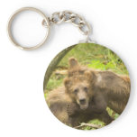 Cute Grizzlys Key Chains