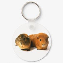 cute guinea pig keychains by mag26s cute guinea pig keychains