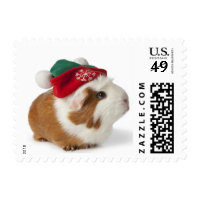 Cute Guinea Pig With Christmas Hat On White Postage Stamp
