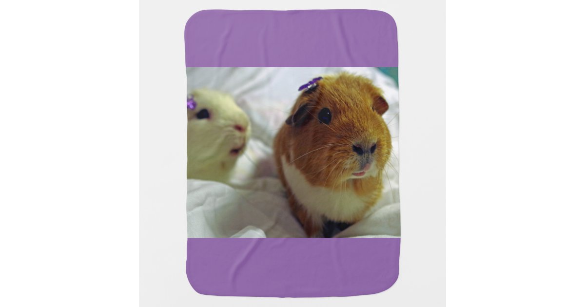 cute guinea pigs baby blanket Zazzle