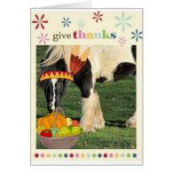 Cute Gypsy Vanner Horse Thanksgiving greeting card