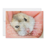 Cute Hamster Face 1 Invite