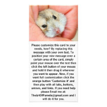 Cute Hamster Face 1 Photo Cards