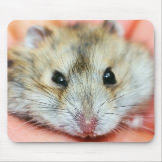 Cute Hamster Face 2 Mousepads