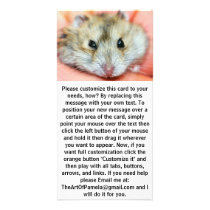 Cute Hamster Face 2 Custom Photo Card
