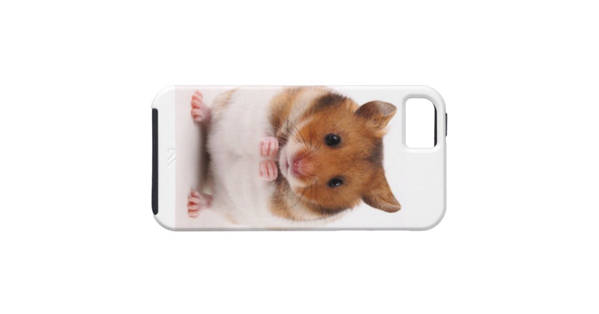 Cute Hamster Gerbil iPhone 5 case Zazzle