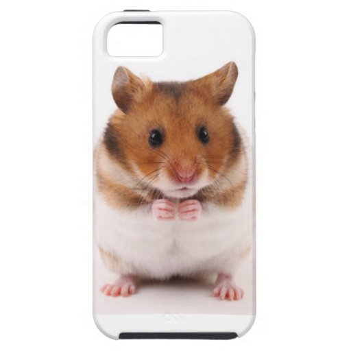 Cute Hamster Gerbil iPhone 5 case iPhone 5 Covers Zazzle