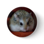 Cute Hamster On A Button - Hammy