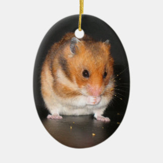 hamster ornaments keepsake ornaments zazzle hamster ornaments keepsake ornaments zazzle