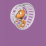 cute hamster running in wheel