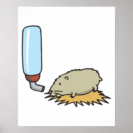 cute hamster with water bottle poster Zazzle