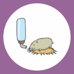 cute hamster with water bottle