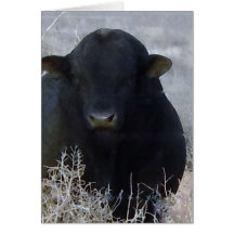 Cute Happy Father's Day Ranch Farm Bull Greeting Cards
