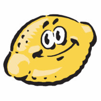cute happy lemon photo sculptures