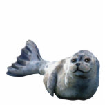 Cute Harbor Seal Wildlife Sculpted Gift Acrylic Cut Out