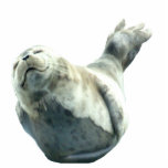 Cute Harbor Seal Wildlife Sculpted Gift Photo Cutout