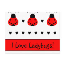 Cute Heart Ladybug Valentine Postcard by bugspot Cute Heart Ladybug Valentine Postcard