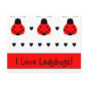 Cute Heart Ladybug Valentine Postcard